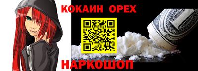 амф Сланцы