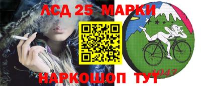 амф Сланцы