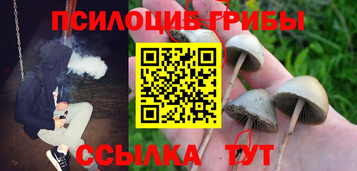 Галлюциногенные грибы мухоморы Россошь