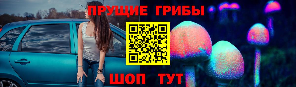 Россошь  Псилоцибиновые грибы Cubensis  Вход с VPN 
